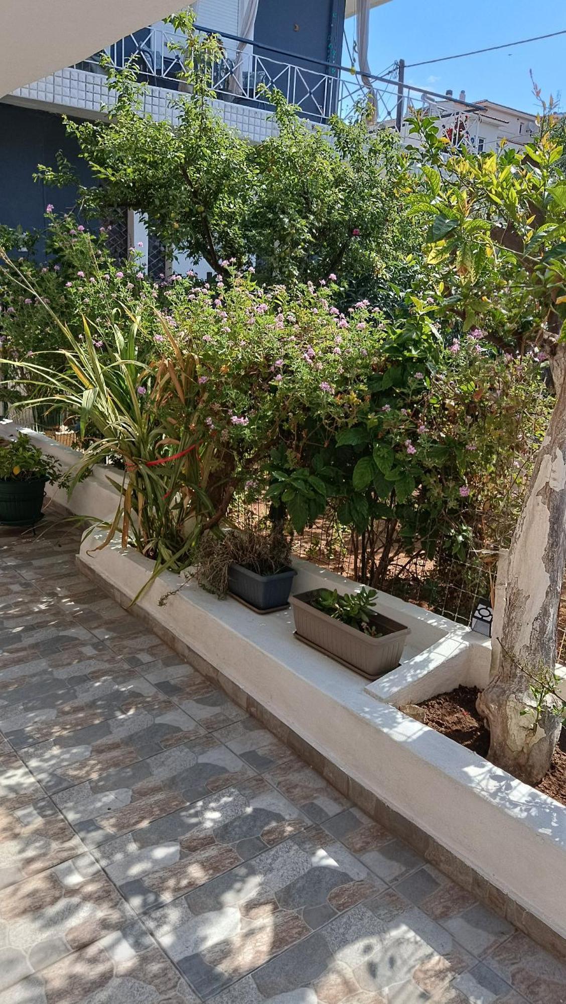 Ferienwohnung Melograno Markópoulon Exterior foto